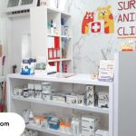 dokter hewan di surabaya terbaik