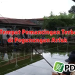 10 Tempat Pemancingan Terbaik di Pegunungan Arfak