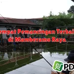 Tempat Pemancingan Terbaik di Mamberamo Raya
