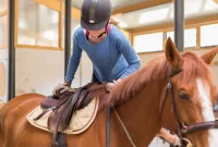 The Essentials of Equestrian Gear