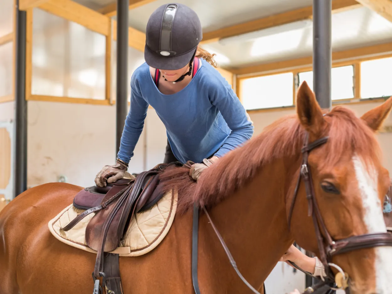 The Essentials of Equestrian Gear