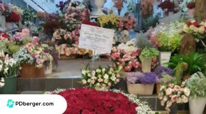 toko bunga jogja termurah