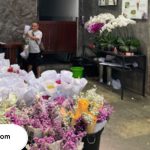 toko bunga malang terlengkap