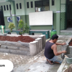 Tukang Taman di Bekasi Profesional