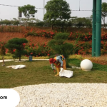 Tukang Taman di Cibubur Tepercaya dan Profesional