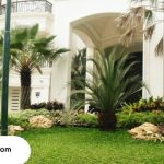 Tukang Taman di Tangerang Terbaik dan Terlengkap