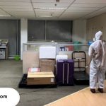 jasa anti rayap di jakarta terbaik