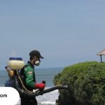Pest Control di Bali Terlengkap, Berpengalaman, dan 24 Jam