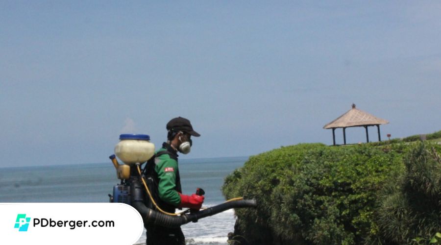 Pest Control di Bali Terlengkap, Berpengalaman, dan 24 Jam