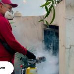 Pest Control di Surabaya Terbaik dan Terpercaya