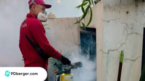 Pest Control di Surabaya Terbaik dan Terpercaya