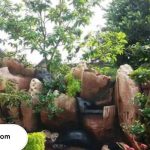 Tukang Taman di Tuban Terbaik