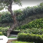 Tukang taman di Lamongan yang murah