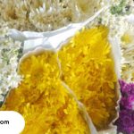 toko bunga di cilacap terbaik
