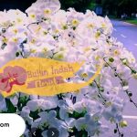 toko bunga di jakarta selatan terlengkap