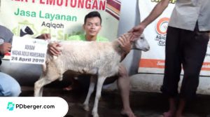 aqiqah di Cirebon terpercaya