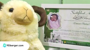 aqiqah di Sukabumi terbaik