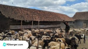 aqiqah di Tasikmalaya terbaik