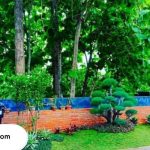 tukang taman di Nganjuk terbaik