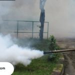 Pest Control di Semarang terbaik