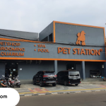 Pet Shop di BSD Terbaik