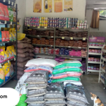 Pet Shop di Bogor Termurah