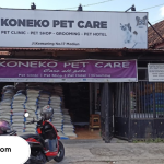 Pet Shop di Madiun Terbaik