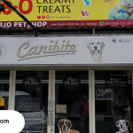 Pet Shop di Sidoarjo Terbaik