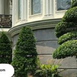 Tukang Taman di Bandung Terlengkap dan Terpercaya