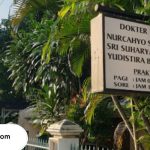 dokter hewan di Bandar Lampung terbaik