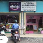 Dokter hewan di Sidoarjo terbaik