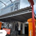 Dokter hewan di Banjarmasin terbaik