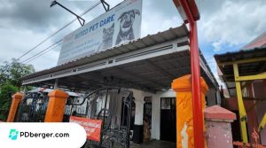 Dokter hewan di Banjarmasin terbaik