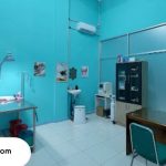 dokter hewan di medan terpercaya