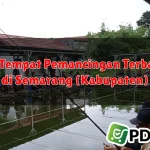 10 Tempat Pemancingan Terbaik di Semarang (Kabupaten)