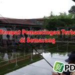 10 Tempat Pemancingan Terbaik di Semarang