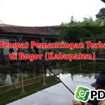 10 Tempat Pemancingan Terbaik di Bogor (Kabupaten)