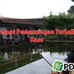 3 Tempat Pemancingan Terbaik di Kaur