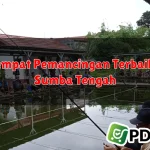 3 Tempat Pemancingan Terbaik di Sumba Tengah