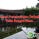 6 Tempat Pemancingan Terbaik di Hulu Sungai Utara