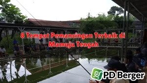 8 Tempat Pemancingan Terbaik di Mamuju Tengah