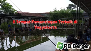 8 Tempat Pemancingan Terbaik di Yogyakarta