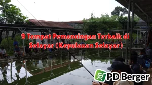 9 Tempat Pemancingan Terbaik di Selayar (Kepulauan Selayar)