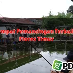 9 Tempat Pemancingan Terbaik di Flores Timur